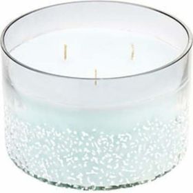 Woodland Bluebell Scented By  Vale Soy Wax Blend Candle - 28 Oz. Burns Approx. 80 Hrs. For Anyone