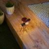 Accent Plus Ladybug Solar Glow Bug