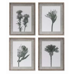 Floral Print (Set of 4) 21.5" x 27.5"H Wood/Glass