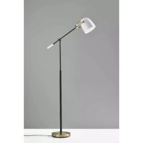 Matte Black and Antique Brass Metal Floor Lamp with Adjustable Arm and White Metal Shade (Pack of 1)