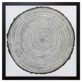 26" X 26" Dark Wood Toned Frame Tree Theory (Pack of 1)