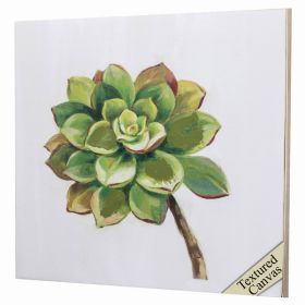 30" X 30" Ligth Wood Toned Frame Succulents IIi (Pack of 1)