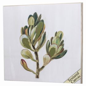 30" X 30" Ligth Wood Toned Frame Succulents II (Pack of 1)
