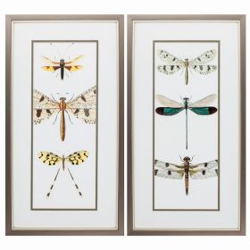 13" X 25" Metallic Bronze Frame Entomology Series (Set of 2)