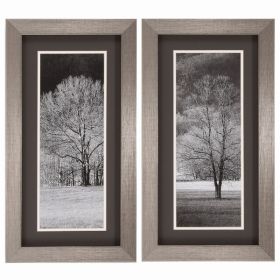 14" X 26" Silver Frame Black & White Trees (Set of 2)