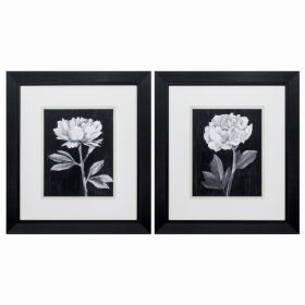 16" X 18" Black Frame Black White Flowers (Set of 2)