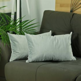 21" x14" Light Grey Velvet decorative Throw Pillow Cover (2 Pieces in set) (Pack of 1)