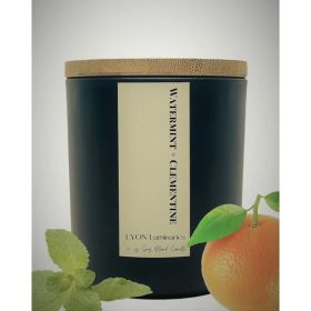 Watermint + Clementine Luxury Soy Blend Candle (Pack of 1)