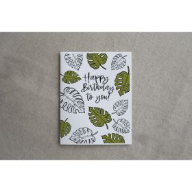 Monstera HBD (Pack of 1)
