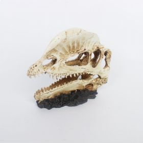 Jungle Bob Hornbill Dinosaur Skull (Pack of 1)